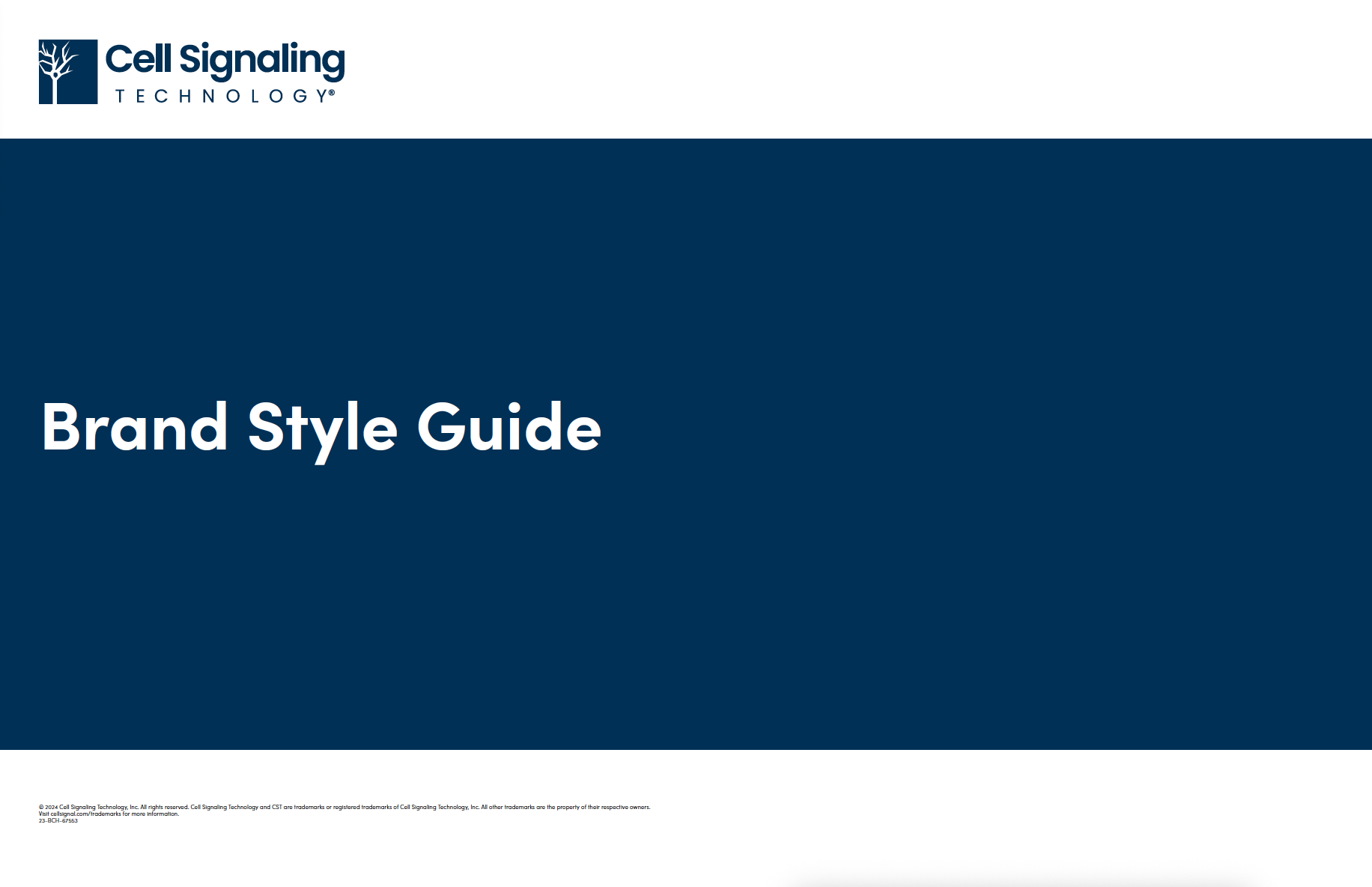 Brand Guide