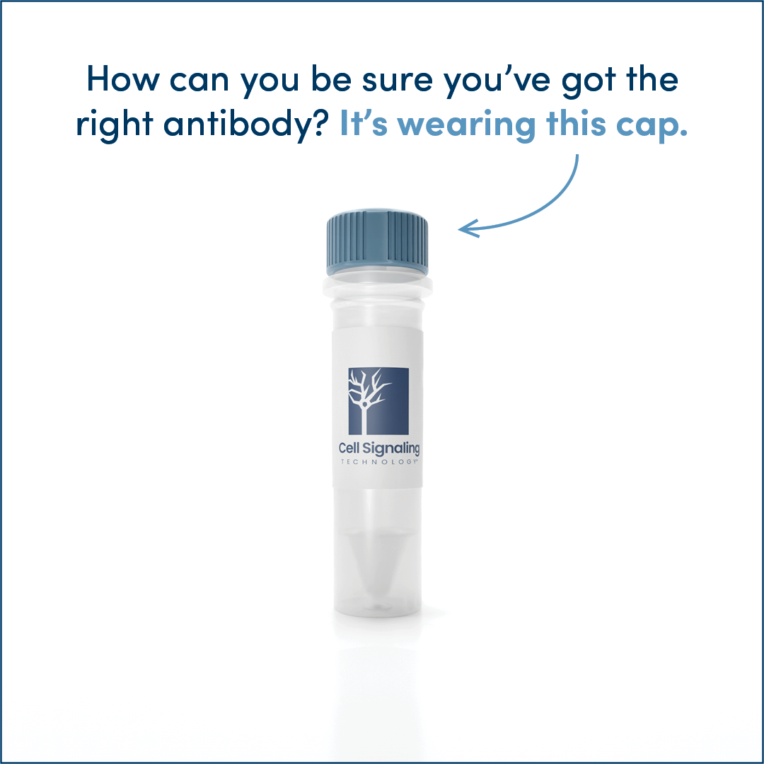 Blue Cap Campaign